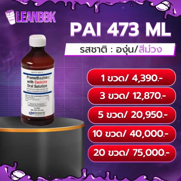 PAI 473 ML V2